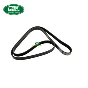 engine drive belt c2z13672 6pk1670 jaguar gj1271